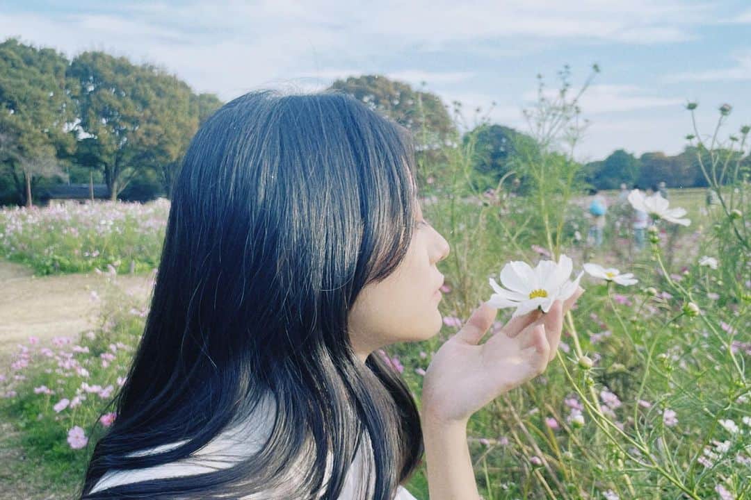 中心愛のインスタグラム：「コスモス  #花 #コスモス #秋」