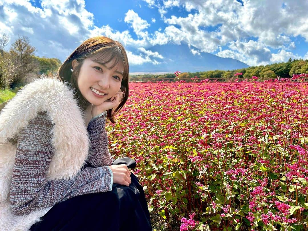 山﨑加奈さんのインスタグラム写真 - (山﨑加奈Instagram)「山中湖あたりまでお出かけ☀️ 富士山は残念ながら少ししか見られず🥲 あっという間に季節は移り変わって冬までもう少しですね⛄️ この冬はお仕事で新しいチャレンジもありますがマイペースに頑張れますように🐈🌟 ・ #休日 #休日の過ごし方  #山梨観光 #山中湖 #花の都公園  #そばの花 #コスモス #花畑  #アナウンサー #山﨑加奈」10月21日 18時31分 - kana_yamazaki_sbs