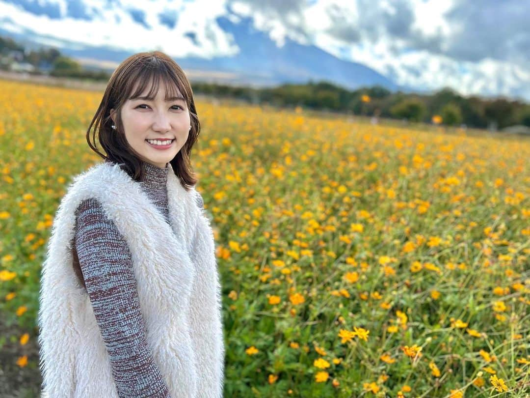 山﨑加奈さんのインスタグラム写真 - (山﨑加奈Instagram)「山中湖あたりまでお出かけ☀️ 富士山は残念ながら少ししか見られず🥲 あっという間に季節は移り変わって冬までもう少しですね⛄️ この冬はお仕事で新しいチャレンジもありますがマイペースに頑張れますように🐈🌟 ・ #休日 #休日の過ごし方  #山梨観光 #山中湖 #花の都公園  #そばの花 #コスモス #花畑  #アナウンサー #山﨑加奈」10月21日 18時31分 - kana_yamazaki_sbs