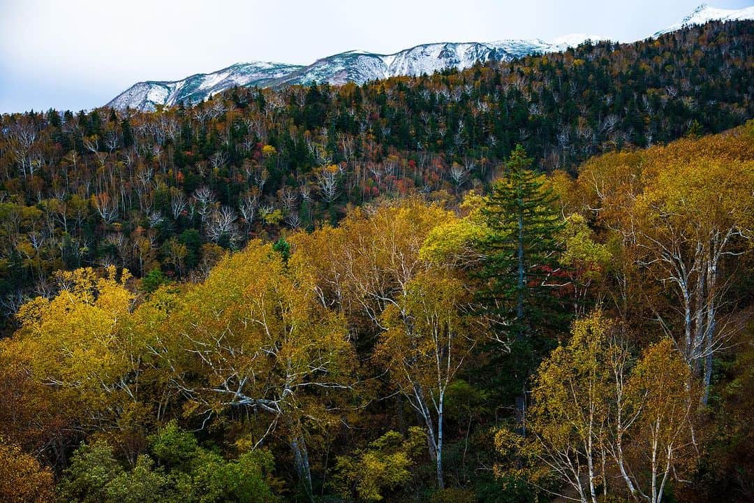 Michael Yamashitaさんのインスタグラム写真 - (Michael YamashitaInstagram)「Sounkyo Onsen, top to bottom. #kurodake #kurodake #sounkyo #sounkyoonsen #koyo #fallcolors」10月21日 17時45分 - yamashitaphoto