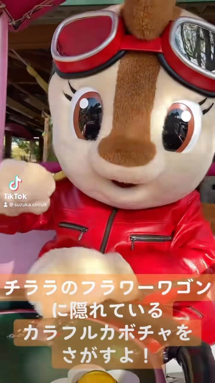 鈴鹿サーキット【公式】のインスタグラム：「#鈴鹿サーキットパーク  🥦🍎秋の大収穫祭🍠🫛  チララのフラワーワゴンに隠れている「カラフルカボチャ」を探しにきたよ！ 全部見つけられるかな？  #秋 #遊園地 #テーマパーク #東海 #三重県 #鈴鹿市 #三重旅行 #子供とお出かけ #家族でお出かけ #赤ちゃんとお出かけ #秋のお出かけ」