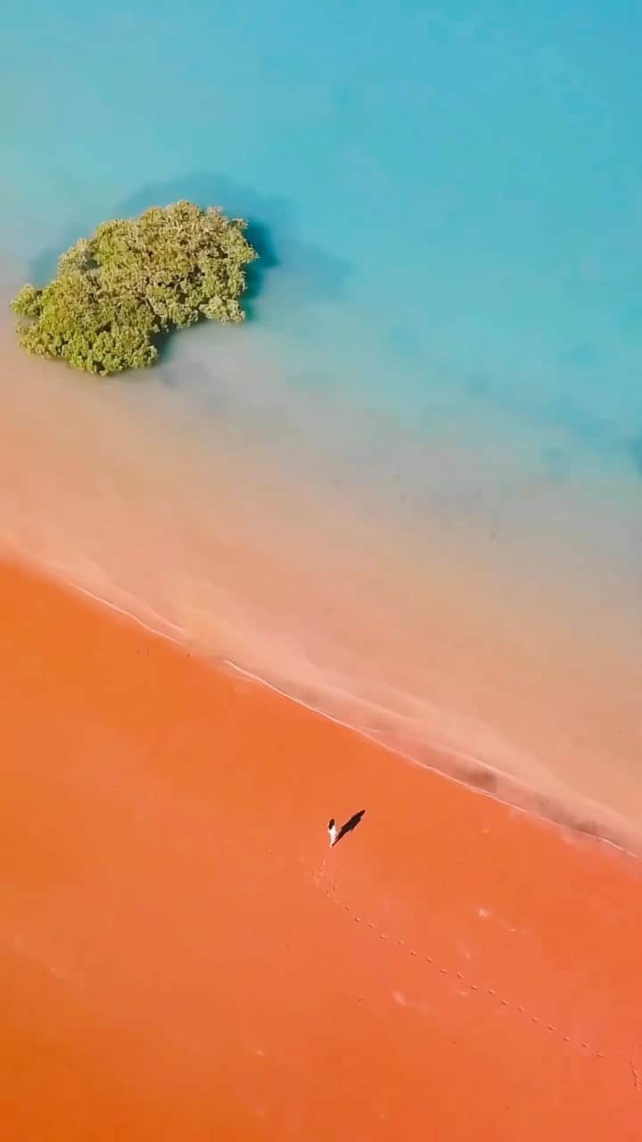 Australiaのインスタグラム：「Q. What’s so special about @australiasnorthwest? A. watch this! 💙🧡 Captured here beautifully by @lolahubner, #SimpsonBeach is one of many stunning spots surrounding Rubibi (@visitbroome) in @westernaustralia. Take in the vibrant expanse of red sand, then explore the neighbouring mangroves of #RoebuckBay with @narlijia, or climb aboard a scenic flight with @broomeaviation to witness this brilliant stretch of coast from above.   🎥: @lolahubner   📍: Simpson Beach, Rubibi (@visitbroome), @australiasnorthwest, @westernaustralia - home to the Yawuru peoples.   #SeeAustralia #ComeAndSayGday #WATheDreamState #AustraliasNorthWest #Broome  ID: Video opens following stairs down to a beach, followed by aerial views showcasing a person wandering a red, sandy stretch leading to the bright blue ocean dotted with green mangroves.」