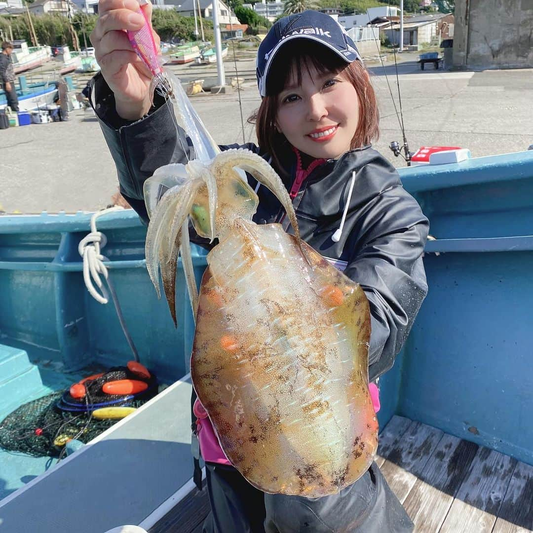 井上直美のインスタグラム：「今季初ティップランラン♪たのし過ぎたー♡ とりあえず初ものをすぐに食べたくて帰って速攻お刺身に。釣りたてのぱっきり感とアオリ特有のねっとり感がたまりません（＾ω＾） またランランしに行かなくちゃ。  🐟タックルデータ🐟 ロッド♡テイルウォーク Tipbang TZ SH63ML/TISL リール♡テイルウォーク スピーキー2500HGX PEライン♡ アプロード ソルトマックス GT-R PE 0.6号 リーダー♡アプロード ディテールプロハリス 2.5号 サングラス♡宅配のめがねやさん 船宿♡武丸さん  　#PR  #アオリイカ　#ティップラン　#テイルウォーク　#相模湾　#サンヨーナイロン　#イカ好きな人と繋がりたい  #武丸」