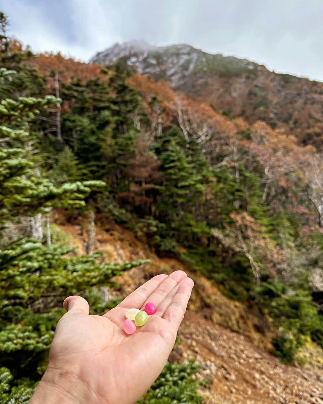 永山瑛太さんのインスタグラム写真 - (永山瑛太Instagram)「自分には与えられなかったものを、新しく誰かに与えることはできる  人は、何度だってやり直せる  そんな台詞があった気がする。  リセット。  リスタート。  人間。」10月21日 9時46分 - nagayama.eita