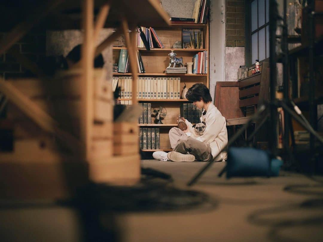 藤岡真威人さんのインスタグラム写真 - (藤岡真威人Instagram)「今夜です📕 #パグ #銀次 #おやすみ王子」10月21日 10時08分 - maito_fujioka