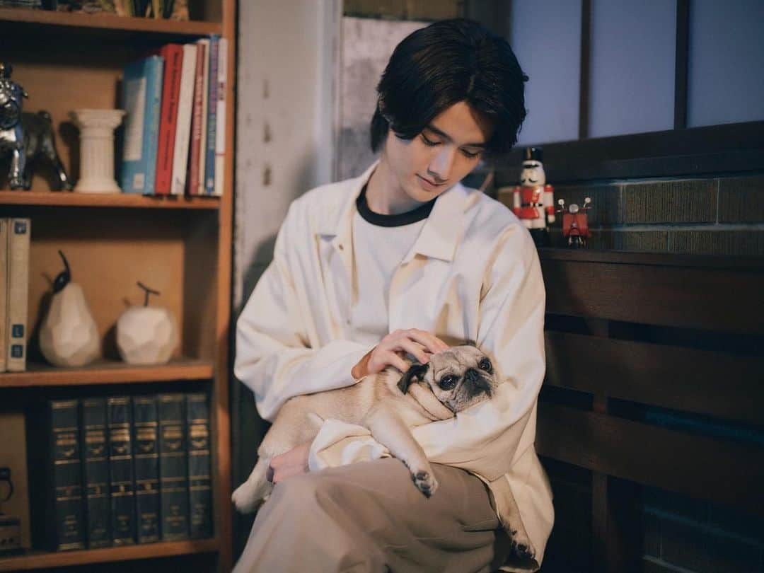 藤岡真威人のインスタグラム：「今夜です📕 #パグ #銀次 #おやすみ王子」