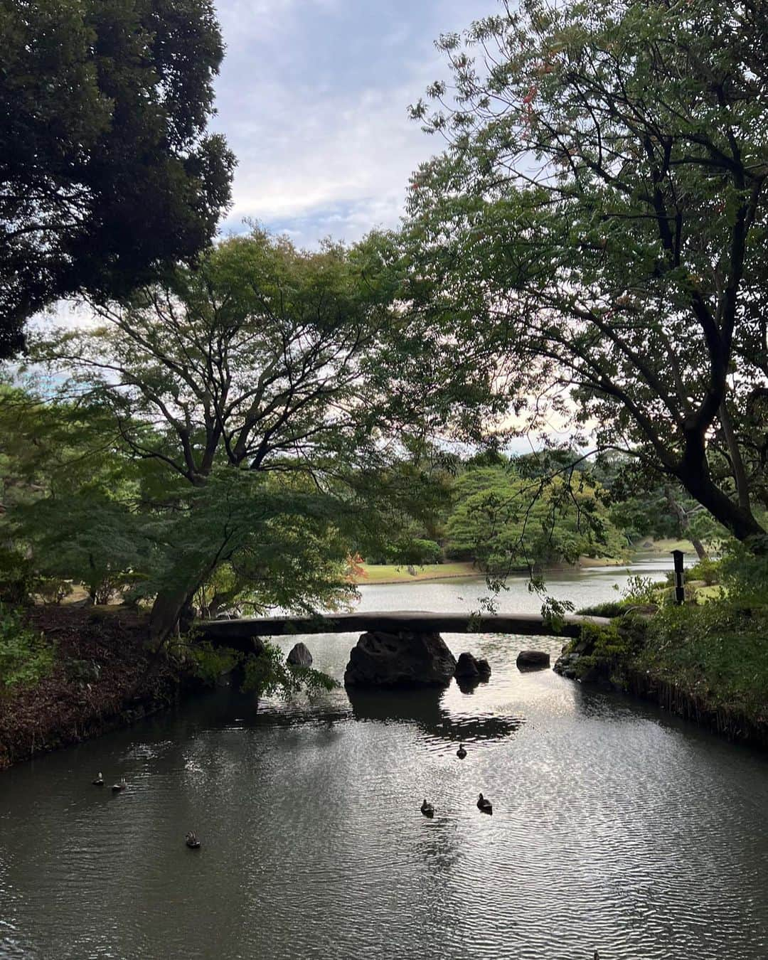 高木凜々子さんのインスタグラム写真 - (高木凜々子Instagram)「おばあちゃんとお散歩👵♪  懐かしい話に花を咲かせて楽しい時間でした💐 紅葉にまた行きたいなーーー！🍁  #violin #music #tokyo」10月21日 11時15分 - ririkotakagi