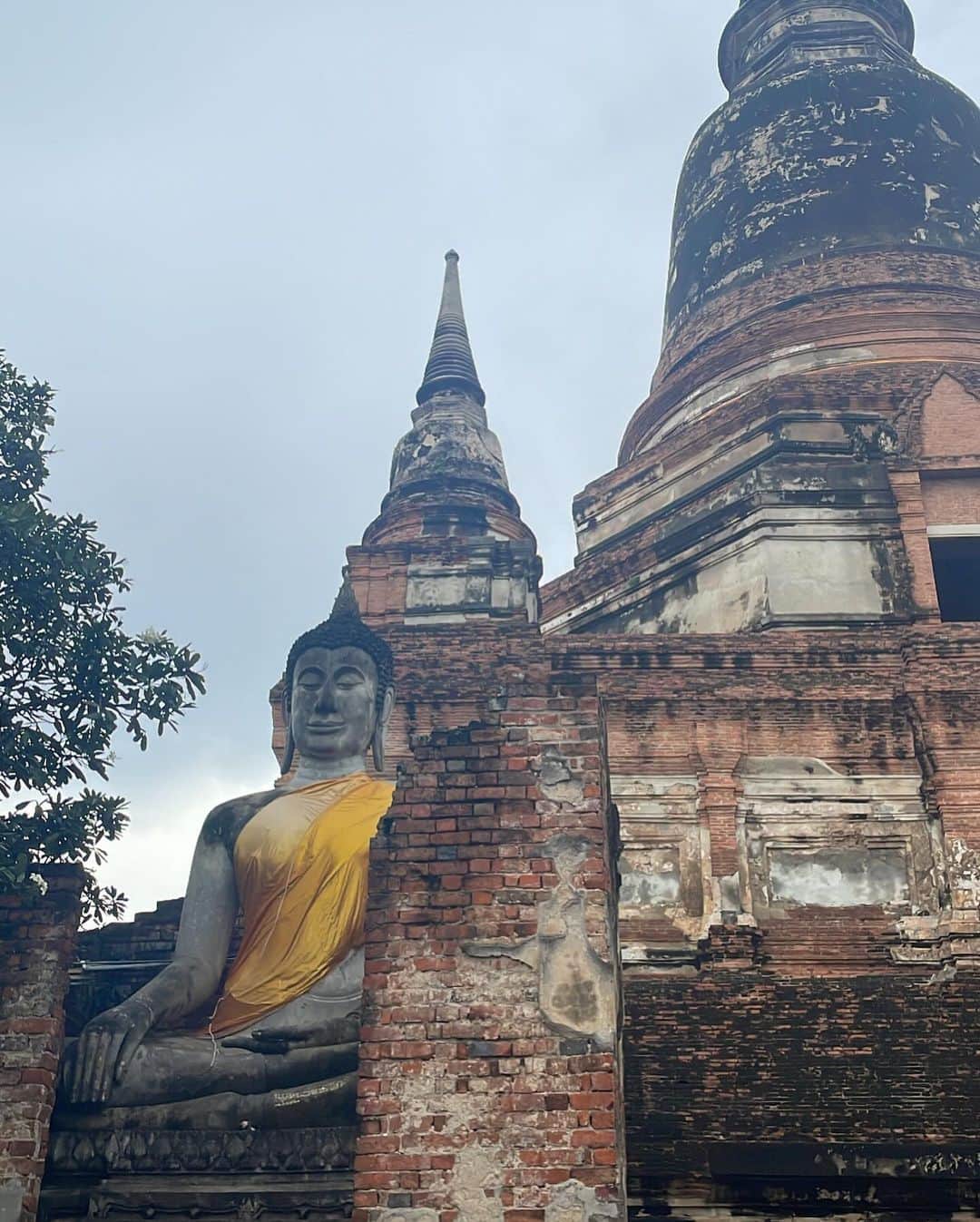 エリサさんのインスタグラム写真 - (エリサInstagram)「Memories of Thailand🇹🇭2023  今月、5年ぶりのタイに行くことが出来ました♡  アユタヤ行ったりゾウに乗ったり、 大好きな本場のタイ料理、その他色々沢山食べた✌︎ めちゃ楽しかった3泊4日☺️あっという間！  ほぼ4年ぶりの海外✨また近々どこかに行きたいな〜〜」10月21日 11時21分 - elisa_kinjo