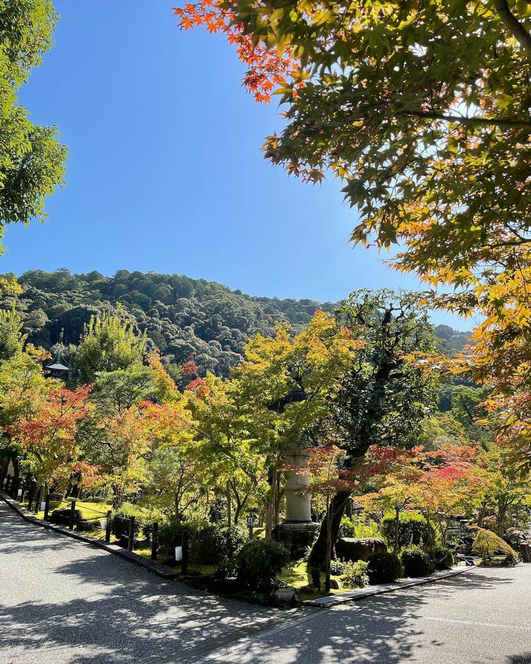 摩耶裕さんのインスタグラム写真 - (摩耶裕Instagram)「. . 紅葉はまだですね🍁 でもお天気良くて気持ちよかったです🍃  #永観堂  #永観堂の紅葉」10月21日 11時44分 - yutaka__maya