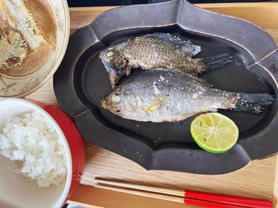 萩野志保子さんのインスタグラム写真 - (萩野志保子Instagram)「過日の #釣って食べる 朝食。 外道扱いされることの多いウミタナゴとスズメダイ ですが、息子は塩焼き一択で好物。 釣れると塩焼き塩焼き！と喜びますw ✔︎白身がふかふか ✔︎骨が細くて柔らかい 🙆  天ぷらにしたベラ の骨を低温で揚げて骨せんべいに🐟🩻🍘 こんなにちいちゃなお魚さんの時に言うのも何なのですが笑 もう、キッチンで釣った魚を捌くのが普通になってきたこと、 そのことに毎回まだ いちいち感動しています。 #50代の成長  #塩焼き #ウミタナゴ #スズメダイ  #天麩羅  #ベラ #9歳 #息子 #おともだちも一緒に #釣り #仕掛けから何から #釣り方を教えてあげていました #教えてあげられると #自分も上達できるよね #釣って捌く #釣って食べる #命に感謝 #釣りスタグラム」10月21日 11時48分 - shihoko_hagino