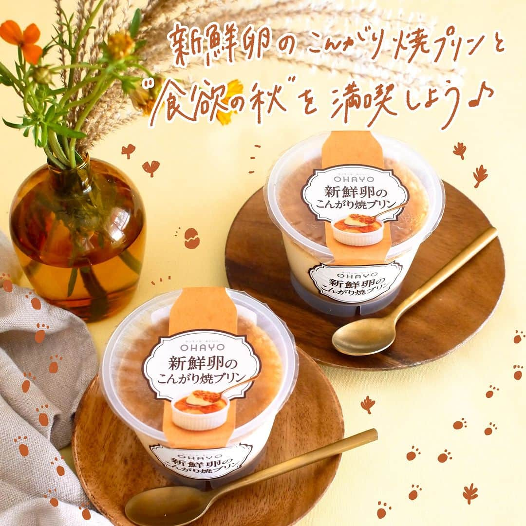 オハヨー乳業 公式アカウントのインスタグラム：「←オハヨー乳業の商品をもっと知りたい方はこちら！   【秋が来た🍂！おいしいスイーツをたくさん食べよう😋】  みなさんにとって「秋」とはどんな季節ですか？🍃  "スポーツの秋"や"読書の秋"などいろいろとありますが、 旬のおいしい食べ物がたくさん並ぶようになるこの時期は、 やっぱり「食欲の秋」ですよね😋🍁  そんな季節こそ！ ぜいたく～な「新鮮卵のこんがり焼プリン」を食べて ぜひ「食欲の秋」を満喫してみてはいかがでしょうか？🥄  焼き目の香ばしい香りや卵の優しい香り。 スプーンですくう時の手ごたえ。  口いっぱいに広がる、「焼き目・プリン・カラメル」の味わい。 まさに五感で楽しめる焼プリンです✨  「新鮮卵のこんがり焼プリン」を食べて、 今年の秋もみなさんの毎日が にっこり笑顔で満たされますように🍂  #OHAYO #オハヨー乳業 #オハヨー #新鮮卵のこんがり焼プリン #焼プリン #プリン ＿＿  #プリン部 #プリン好き #プリン大好き #プリンスタグラム #おいしいプリン #プリン好きと繋がりたい #プリン好きにはたまらない #焼プリン #焼プリン🍮 #元祖 #日本初 #懐かしい味 #懐かしの味 #カラメル #カラメルソース #カラメルプリン #幸せな時間 #リラックスタイム #おやつtime #贅沢スイーツ  #スイーツ部 #今日のおやつ  #おやつの時間 #夜のおやつ」