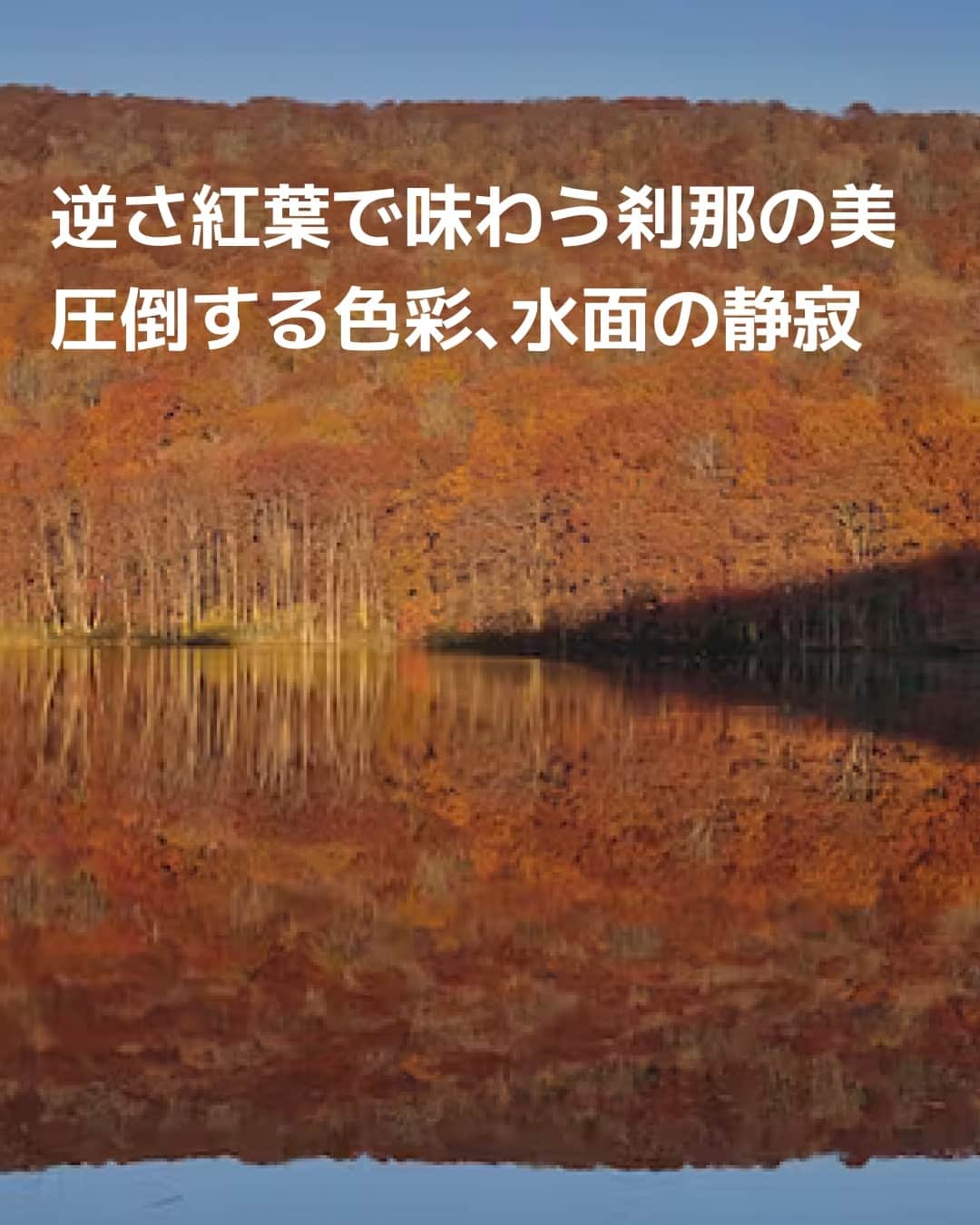 日本経済新聞社さんのインスタグラム写真 - (日本経済新聞社Instagram)「赤や黄に色づく木々と空の青が水鏡に映り込む「逆さ紅葉」。水辺に近く、風がないことが条件の「刹那の美」が魅力を高めます。秋の幸運が重なった時にだけ望める、芸術的景観の名所を専門家が選びました。⁠ ⁠ 詳細はプロフィールの linkin.bio/nikkei をタップ。⁠ 投稿一覧からコンテンツをご覧になれます。⁠→⁠@nikkei⁠ ⁠ #紅葉 #もみじ🍁 #紅葉狩 #見頃 #絶景 #美しい #撮影 #日経電子版」10月21日 12時00分 - nikkei