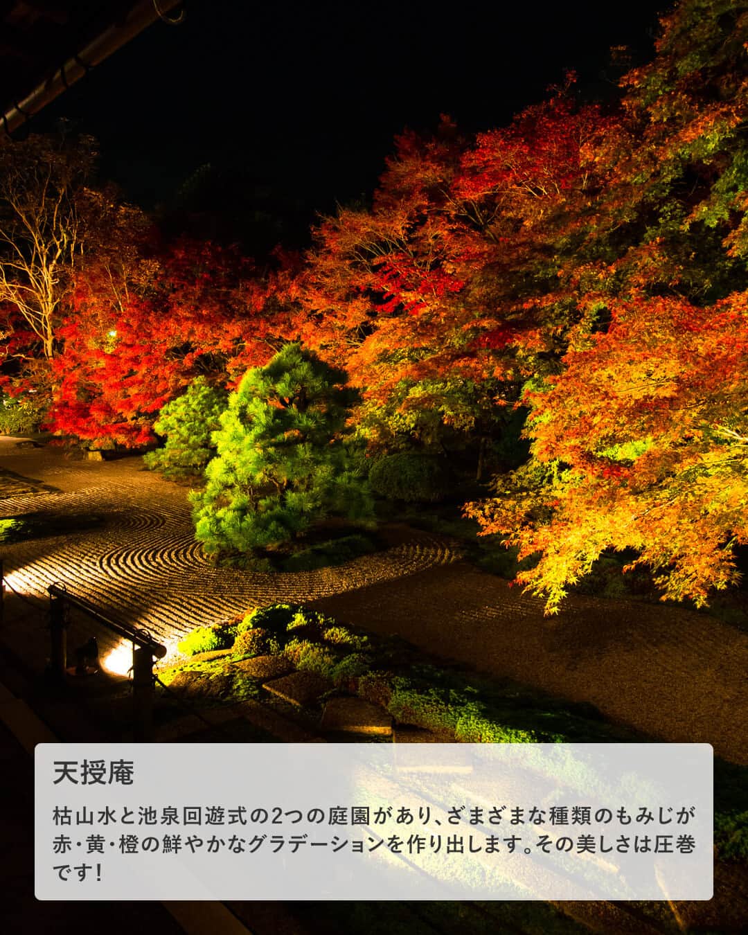 楽天トラベル さんのインスタグラム写真 - (楽天トラベル Instagram)「投稿を保存して見返してね😊 毎日おすすめの観光スポットやホテルを紹介している 楽天トラベル💚 👉@rakutentravel  ーーーーーーーーーーーーー  ライトアップされた紅葉が一段と幻想的な京都を紹介します🍁 定番から穴場スポットまでこの季節にしか見られない素敵な景色を京都で味わってみてはいかがですか…🤍  ーーーーーーーーーーーーー  1　#清水寺 2　#圓徳院 3　#東寺 #教王護国寺 4　#永観堂禅林寺 #禅林寺 5　#嵯峨野トロッコ列車 #嵯峨野 6　#貴船もみじ灯篭 #貴船神社 7　#天授庵 8　#北野天満宮 #もみじ苑  ーーーーーーーーーーーーー  #rakutentravel をつけて投稿してくだされば、 あなたの撮った写真が楽天トラベルアカウントに掲載されるかも👀  旅の計画に夢中になれるインスタマガジン👜 楽天トラベルをフォローして理想の旅をみつけてね🛫@rakutentravel  いってみたいと思った人は気軽にコメント欄にスタンプ送ってね💕  ーーーーーーーーーーーーー」10月21日 18時00分 - rakutentravel
