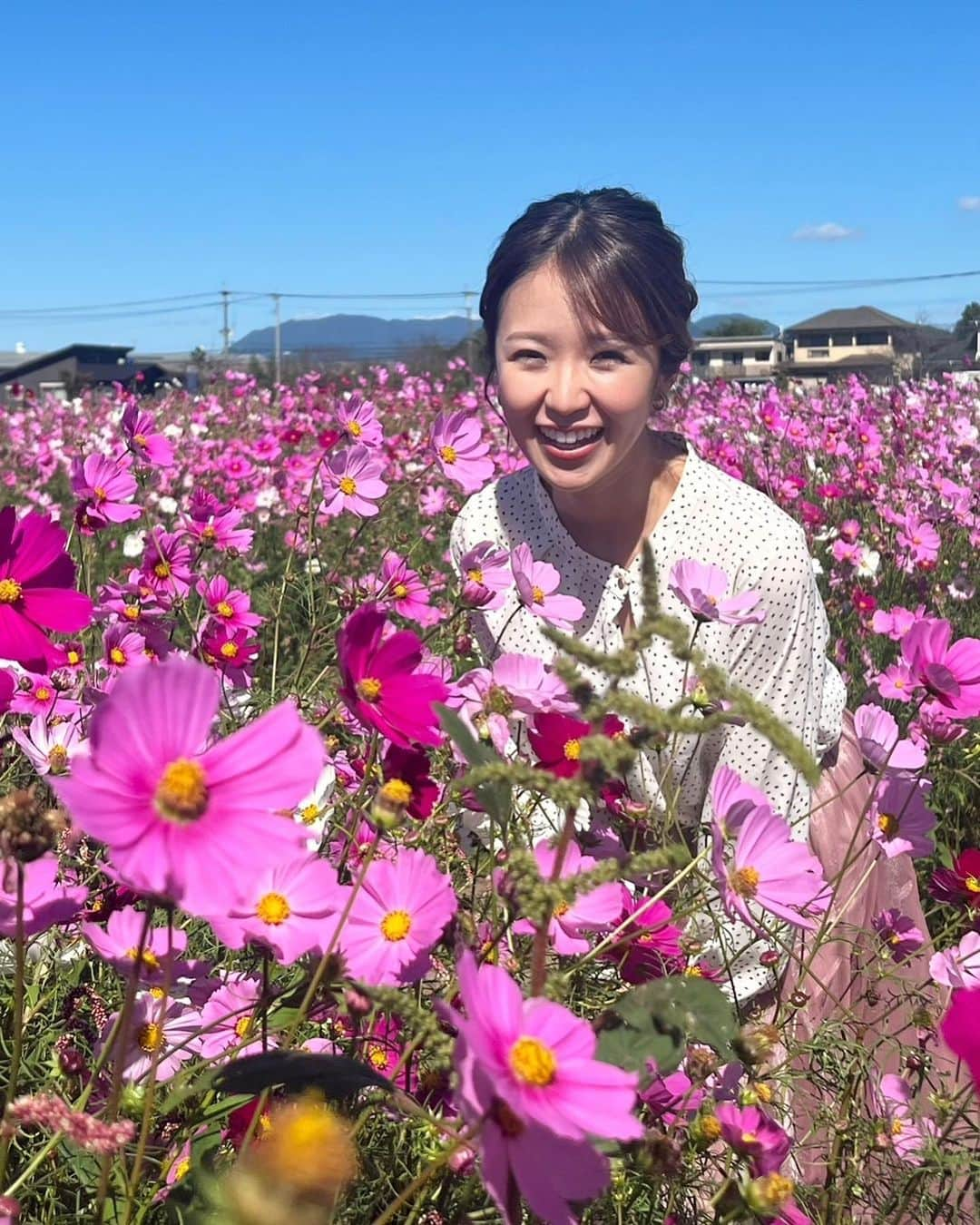 テレビ西日本「Cubetnc」のインスタグラム：「本日の放送もご視聴頂き ありがとうございました😊  福岡県朝倉市のキリンビール福岡工場で、 コスモスが満開、見頃を迎えています✨  あわせてあさくらエリアの 特産品などを販売するブースやグルメ屋台が並ぶ 『キリンコスモスフェスタ』も 来月5日まで開催しています。  秋の行楽にいかがでしょうか🍻  #キリンビール福岡工場  #五十嵐悠香 #五十嵐悠香アナウンサー  #福岡newsファイルcube」