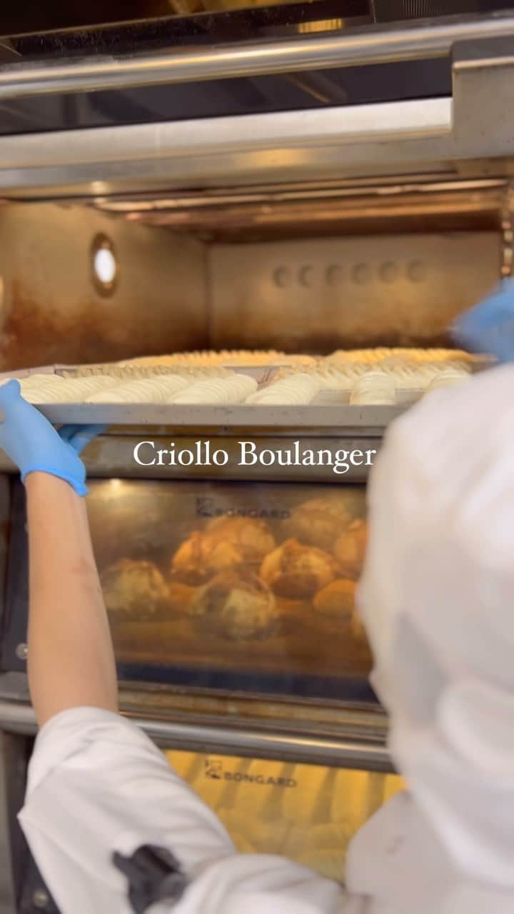 クリオロのインスタグラム：「#criollo #お取り寄せパン #クリオロ #お取り寄せスイーツ #パン好き #パン部 #東京ベーカリー #パン屋さん #パン屋さん巡り #ミルクフランス #フーガス #クロワッサン #パン職人」