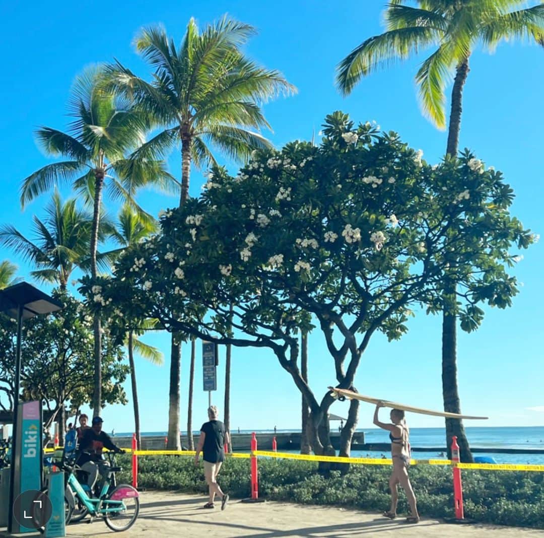 マキ・コニクソンのインスタグラム：「Happy Aloha Friday!🌺 今日はきっと綺麗な ワイキキ サンセットが見れるよ。 そしてグリーンフラッシュが出そうな気配。 眩しいサンセットタイムのワイキキ。  ハワイは空気は澄んでるし、 自然がたくさんあるし、 ビーチも綺麗だし、空は青いし、 人は優しいし、パラダイス。  当たり前が当たり前じゃないんだから 何も不自由なく生活出来てる事に 感謝しないとね。ついつい忘れがち。  今、世界の一部の国々が戦争してる。 ハワイの平和な生活からは考えられない。 私、平和ボケしてる。 戦争反対！罪のない子供達、老人、病人、 戦争をしたくない人々が たくさん、たくさん、犠牲になってる。 市民を巻き込まないで欲しい。  トップ同士が武器を使わずに 素手で戦えばいいじゃない。 Stop the war🖐🏼 早く戦争が終結します様に。 世界平和を祈るのみです。  また明日👋🏼  #ハワイのおすそ分け🤙🏼  #エアハワイ🌺  #世界平和 #戦争反対 #Love and Peace」