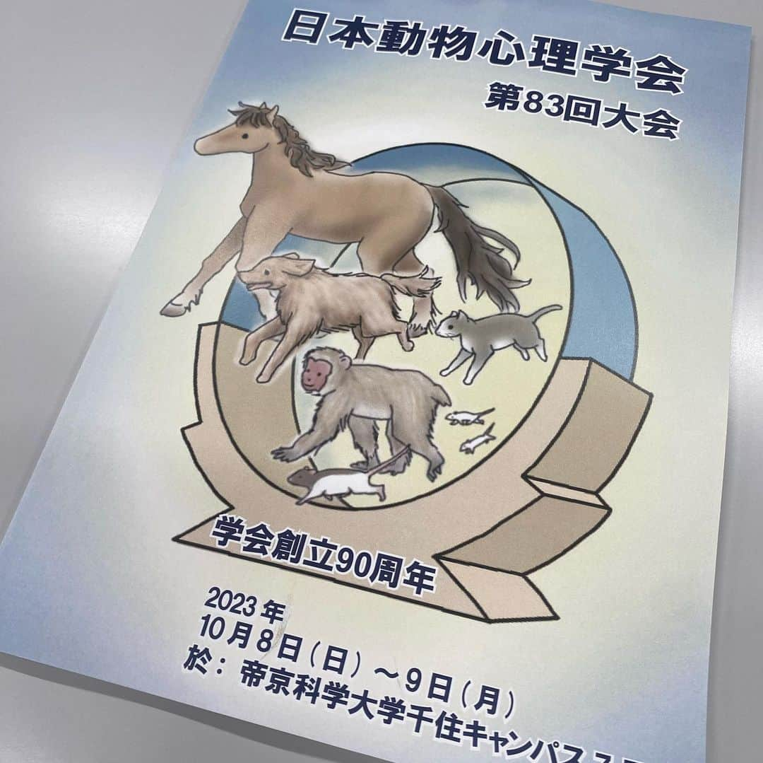 服部円さんのインスタグラム写真 - (服部円Instagram)「日本動物心理学会でポスター発表をしました。発表後に子の発熱でとんぼ返りからの学級閉鎖というドタバタぶり。懇親会のケータリングは一口も食べられず、じっくり話す時間もなかったけど会いたい人たちの顔はみれたし、前ラボの指導教官にもみてもらえたのでまあよし。子が小学生のうちに子連れ学会、トライしてみたい☺️  #日本動物心理学会  #ネコ研究」10月21日 18時43分 - madokahattori