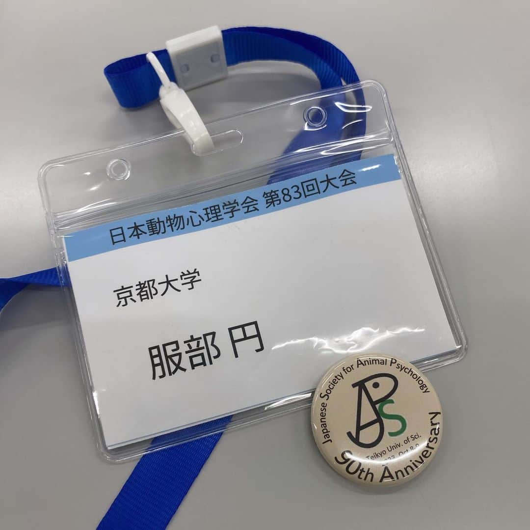 服部円のインスタグラム：「日本動物心理学会でポスター発表をしました。発表後に子の発熱でとんぼ返りからの学級閉鎖というドタバタぶり。懇親会のケータリングは一口も食べられず、じっくり話す時間もなかったけど会いたい人たちの顔はみれたし、前ラボの指導教官にもみてもらえたのでまあよし。子が小学生のうちに子連れ学会、トライしてみたい☺️  #日本動物心理学会  #ネコ研究」