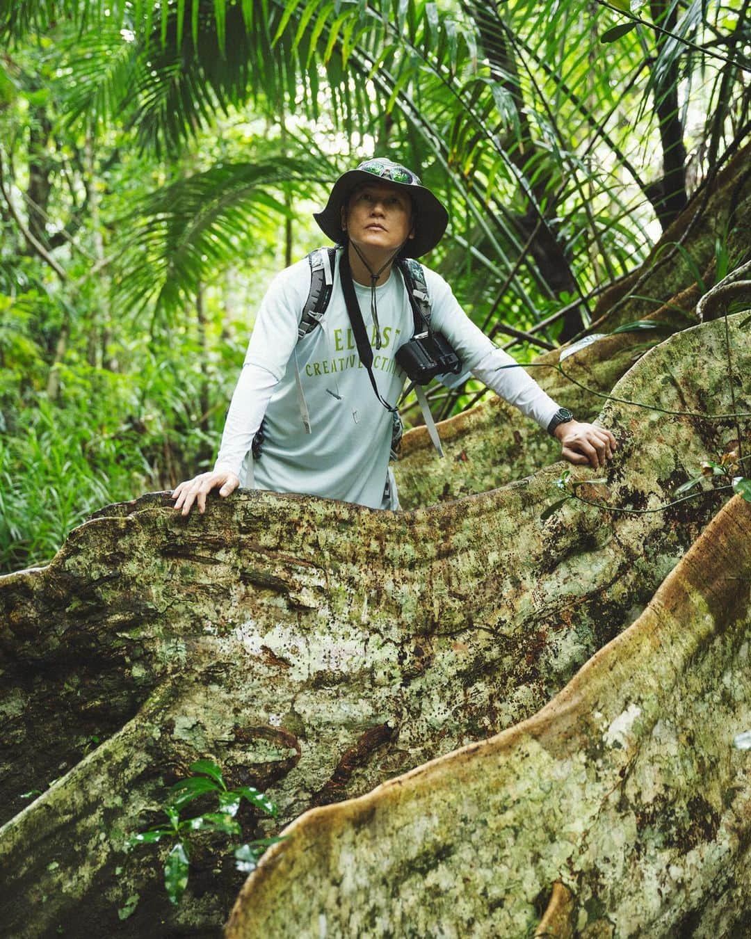 井浦新さんのインスタグラム写真 - (井浦新Instagram)「_ 巨木に出逢ったら少し立ち止まって会話をしてみる また出逢えた時に覚えててくれたら嬉しいから  気が遠くなるほどの時を重ね 様々な災害を乗り越え鎮座する神秘的で逞しい姿は 理屈抜きに魅力的で憧れる 西表島の巨木たちも素晴らしかった  📷： @kentaaminaka_portrait  👕： @mightry_elnest   #イリウムトゥの夕べ  #西表島 #巨木」10月21日 13時53分 - el_arata_nest