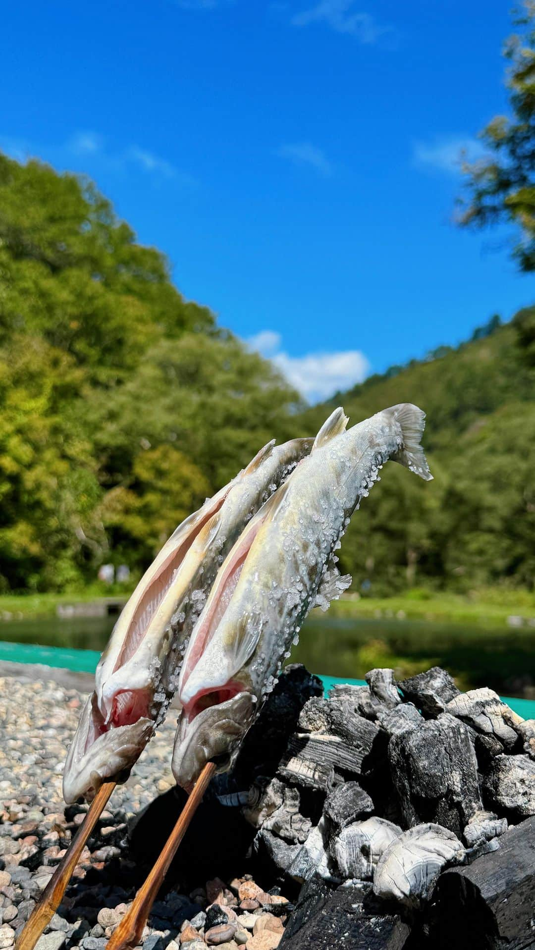 フォーリンデブのインスタグラム：「大自然どまんなか！  以前訪問して「マイベストオブ イワナ（岩魚）」に出会えた、福島県只見（奥会津）の「いわなの里」に、また帰って来れたよ🌟  さすがはユネスコのエコパーク（生物圏保存地域）に認定されているエリアだけあって、手つかずの自然がそのまま残っていて、特別天然記念物のニホンカモシカともばったり遭遇😎  そんな環境だからこそ水も美味しく、川魚はいっさいの臭みがなく、洗練された自然の香りが楽しめるのは唯一無二だよね☺️ このお店では1匹650円くらいで食べられて、自分で好きなように炭火焼きできるのも楽しさ倍増🙌✨  今回の動画にはあえてBGMをつけなかったので、自然のままの風の音、水の音、焼ける音、に耳を傾けてもらえると嬉しいな💯  -------- 🍴いわなの里（Iwana no sato） ☎️090-2603-6162 📍福島県南会津郡只見町黒谷2963  🚃只見駅から車で26分 💰食べログ予算 昼¥1000- @iwananosato_tadami  - #福島グルメ #奥会津グルメ #只見グルメ #いわなの里 #イワナ #岩魚 #焼きもイイけど #揚げも美味しい #ユネスコエコパーク #大自然で落ち着く #冬は豪雪なので営業せず #また春の訪れを待ちたい #japanfood #japantravel #fukushima #fukushimafood #foodtrip #bbq #iwana - ▼ エリア&ジャンル検索 #フォーリンデブ福島 #フォーリンデブ和食」