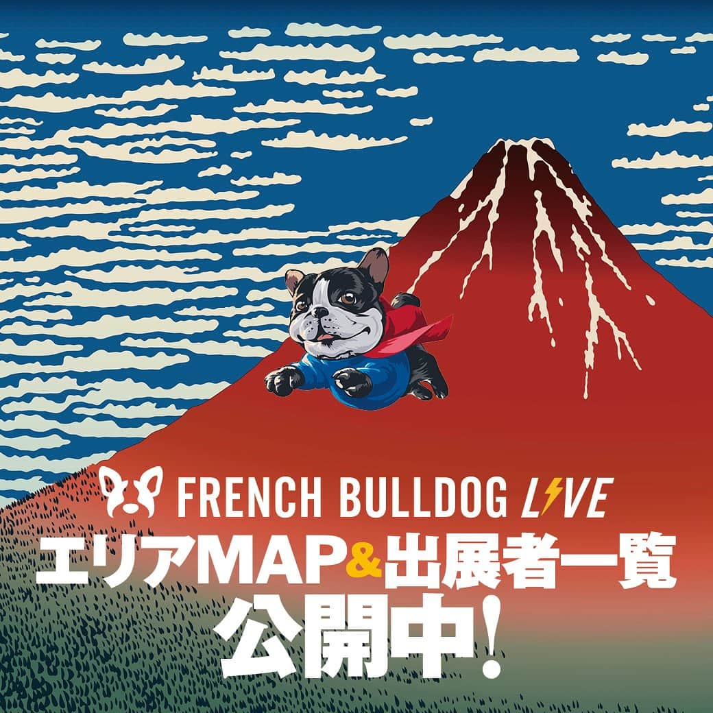 French Bulldog Lifeのインスタグラム：「【エリアMAP、出展者一覧公開⚡️】  今年の「フレブルLIVE」は約150店舗が大集結！  さぁ、あなたはどう周る⁉︎  ★詳しくはフレブルライフをチェック プロフィールまたはストーリーズからどうぞ @french.bulldog.life  ★追加チケット（当日引換券）の発売は『10/26（木）23:59』まで！  #フレブルLIVE」