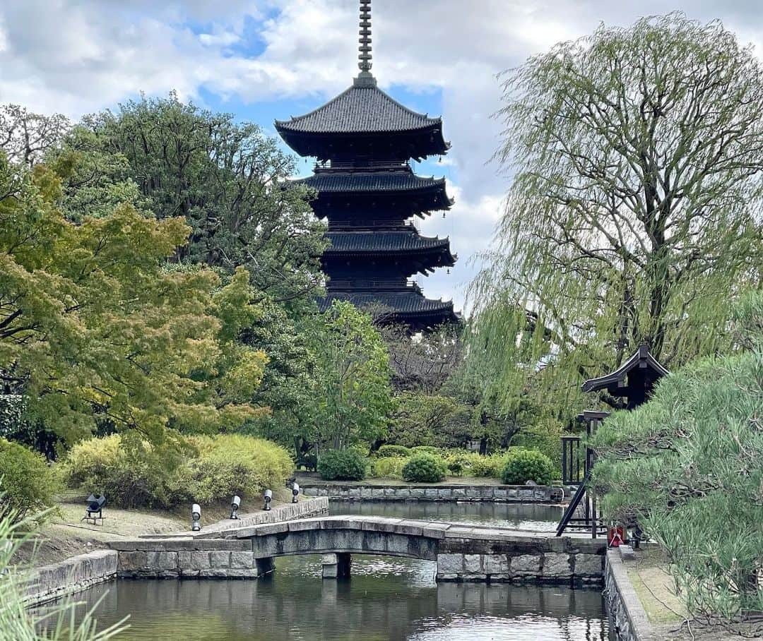 三浦瑠麗さんのインスタグラム写真 - (三浦瑠麗Instagram)「寺の境内に市がたっていて、盆栽や古道具、古着、各種屋台などをひやかしながら東寺餅を食べあるき。御朱印をいただいてから、ふたばさんの甘ぎつねうどん。 いまはとあるバーでシェリー酒を嗜んでおります。」10月21日 15時10分 - lullymiura