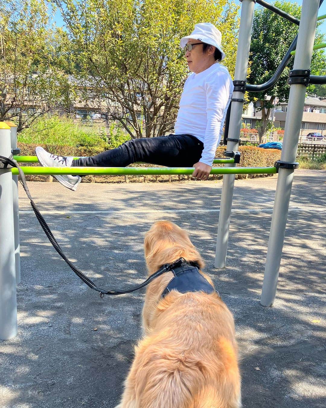 渡辺喜美のインスタグラム：「L字型を目指して筋トレ💪の秋🍂 孫の福太郎も「頑張って❗️」と言ってます❣️」