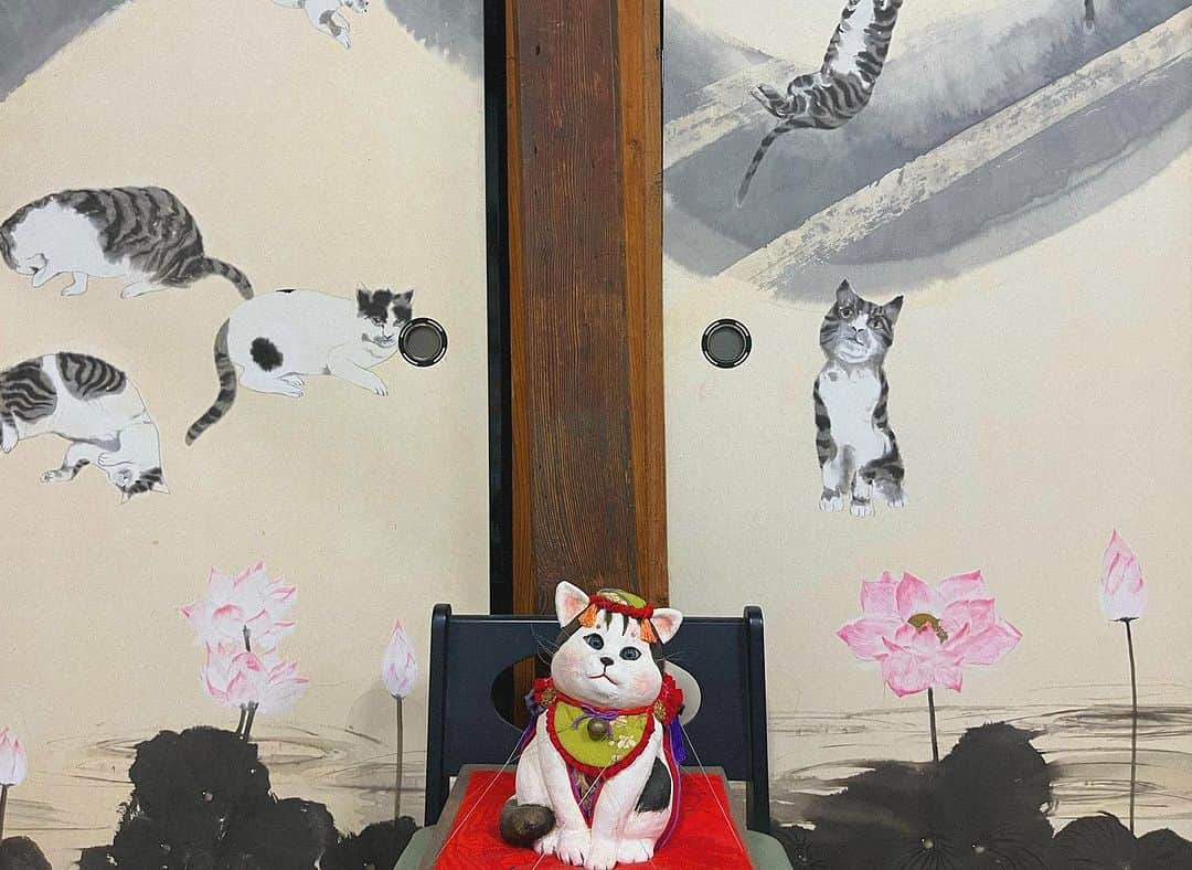 中村まきのインスタグラム：「#猫寺 とも言われる #生善院 様✨表情可愛さ共にほっこりきゅんが溢れてるそんな可愛いお寺なのです❤️  猫の襖は本当に可愛かった♡ 中は猫だらけ✨招き猫もたくさんなの。  それに，リアルなお寺猫ちゃんもいます✨ 3匹いるみたい。 今回お会いできたのはクロちゃんでした♡  みんなのアイドルでした♡ 自由きままでほっこりしました，ありがとう🙏  ■千光山 生善院（猫寺）/水上村 生善院は、熊本県球磨郡水上村にある真言宗智山派の寺院。  寺に残る伝説から、 「猫寺」の通称で知られる。 山門脇には、狛犬ならぬ「狛猫」が♡   〒868-0701  熊本県球磨郡水上村岩野３５４２  #猫好き #猫好きさんと繋がりたい  #水上村 #人吉市 #人吉球磨 #お寺巡り #お寺 #御朱印 #御朱印女子  #スピリチュアル #人吉球磨風水祈りの浄化町  #人吉風水 #浄化」