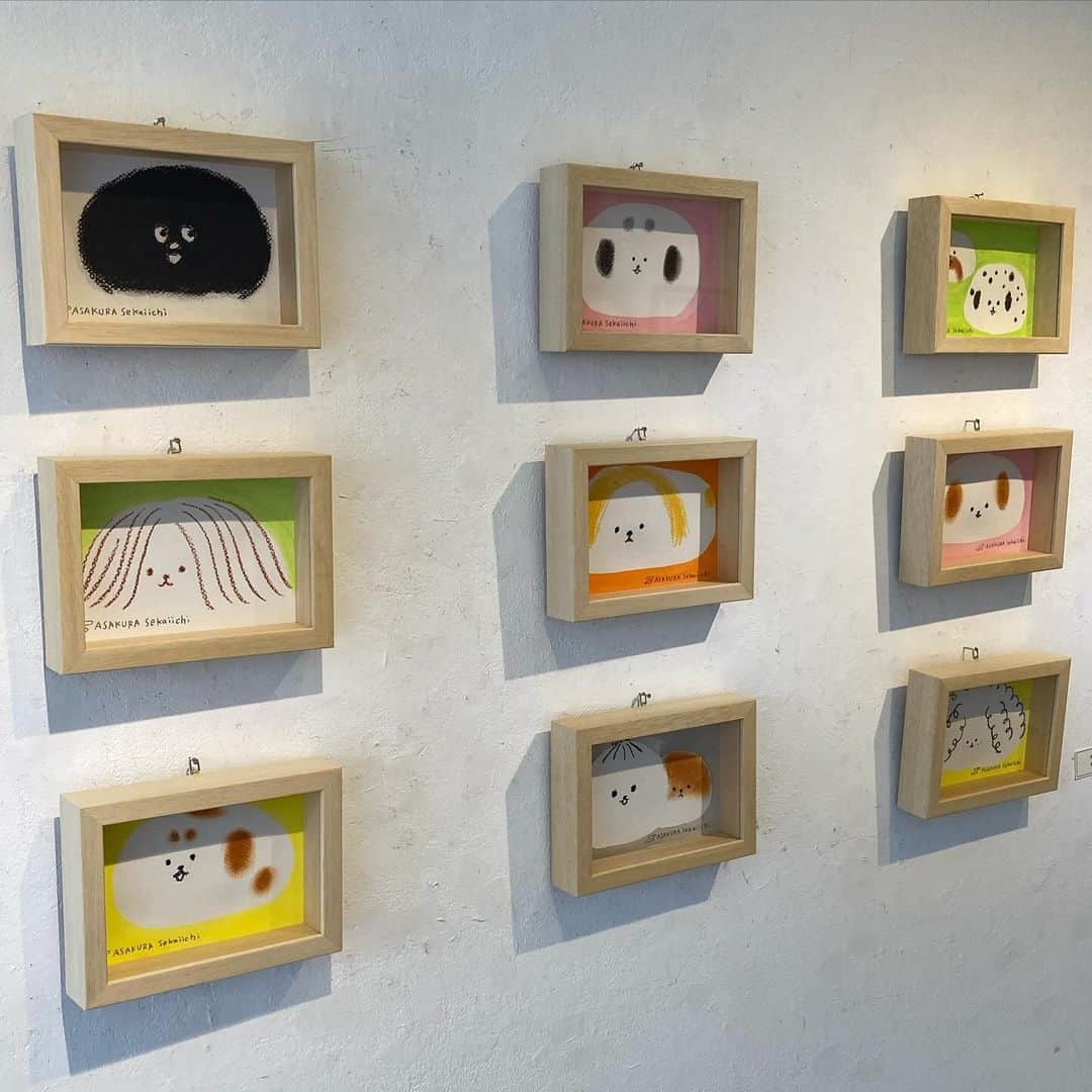 朝倉世界一のインスタグラム：「こちらのコーナーも光明院の展示と連動しています🥔 #京都オーディナリー」