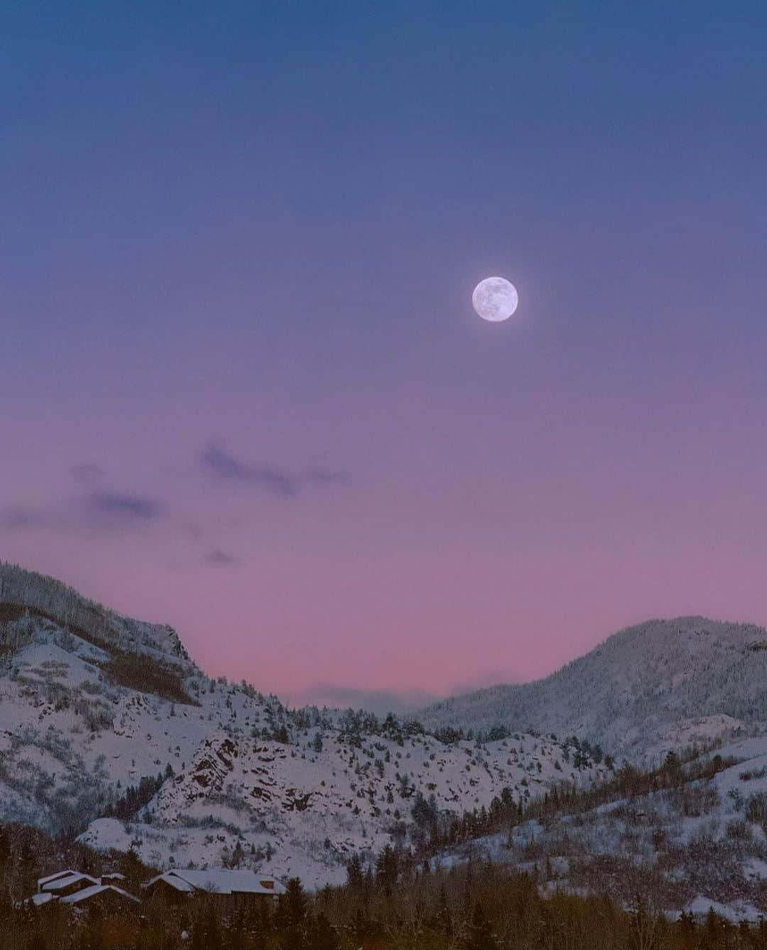 MARIHA Official Instagramさんのインスタグラム写真 - (MARIHA Official InstagramInstagram)「. 'The sun loved the moon so much, He died every night to let her breathe' ~ anon   @alexkittoephotos   #mariha #inspirationoftheday #imageoftheday #花鳥風月 #マリハ」10月21日 16時30分 - mariha_official