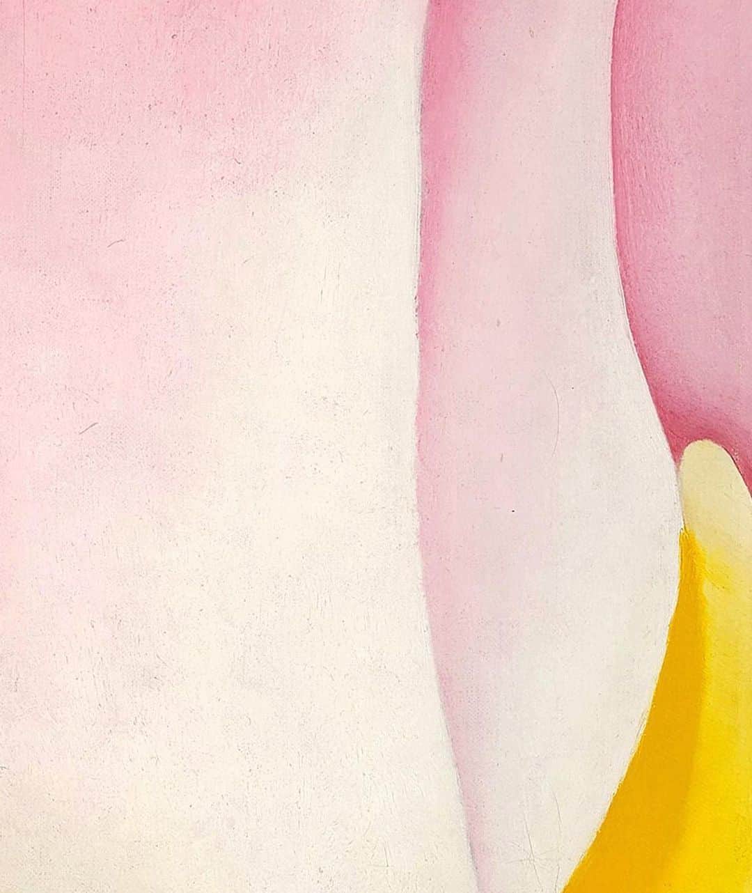 サザビーズさんのインスタグラム写真 - (サザビーズInstagram)「“I have painted what each flower is to me and I have painted it big enough so that others would see what I see.” - Georgia O’Keeffe  From 1918 to 1932, O’Keeffe executed more than two hundred floral subjects, captivated by the visual potential and beauty of natural forms. As she essentializes, crops, and enlarges the blossom in ‘Pink Tulip (Abstraction - #77 Tulip)’ from 1925, O’Keeffe leaves the realm of pure objectivity and instead presents its essence, compelling her viewer to experience the natural world in a new and more profound way.  A century later, O’Keeffe’s flowers remain her most highly sought after and influential paintings. Acquired directly from the artist in June of 1985 and held in Emily Fisher Landau’s acclaimed collection for nearly 40 years, ‘Pink Tulip’ is no exception. A longstanding supporter of O’Keeffe’s practice both during her lifetime and beyond, Fisher Landau frequently visited O’Keeffe at her New Mexico home, and acquired a number of paintings from the artist—both for her personal collection and museum donation.  By @kaylacarlsen as part of our daily series The Emily Fisher Landau Collection: Twentieth Century Art in Twenty Unforgettable Works leading up to the Evening Sale on 8 November at #SothebysNewYork. Discover more in our link in bio. #TheFisherLandauLegacy #GeorgiaOKeeffe」10月22日 3時00分 - sothebys