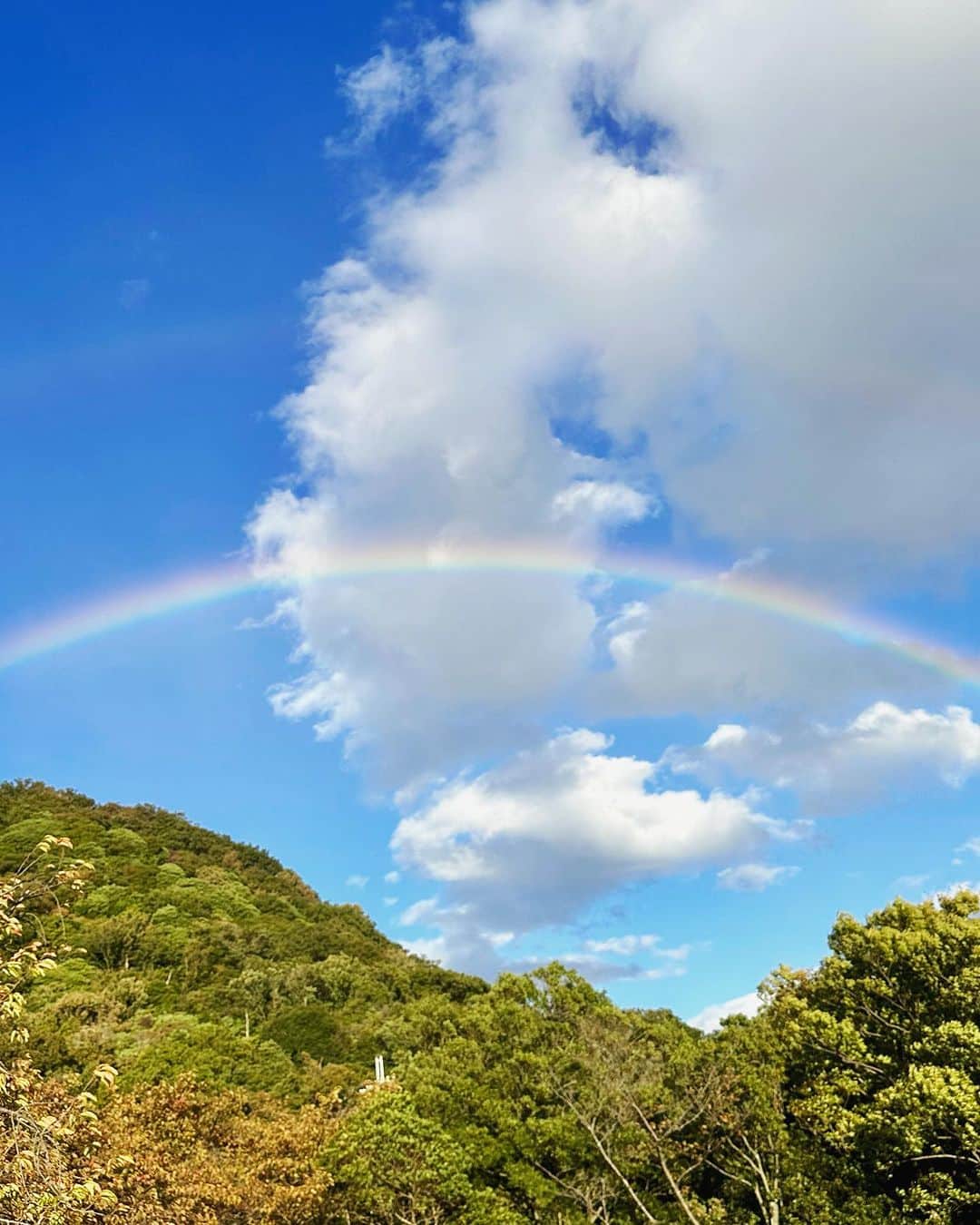 山田佳子のインスタグラム：「雨上がり、晴れてきた空には虹が🌈 幸せな気分になれた🥰💕 ⁡ #雨上がりの空  #晴れてきた☀️  #虹🌈 #自然の美しさ  #心惹かれる  #幸せ気分  #ありがとう😊  #素敵な週末を」