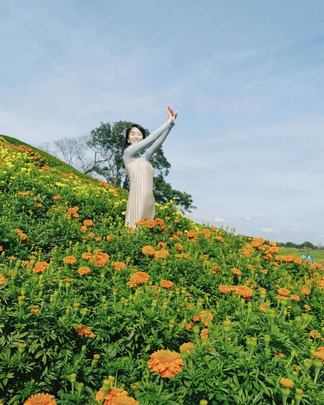 忍野さらさんのインスタグラム写真 - (忍野さらInstagram)「関東お花大好き組合 組長のおしの沙羅です  秋はやっぱり紅葉ですね🍁  ドイツ村の主役はコキアでした （2枚目）  コキアの花言葉にある 『あなたに全てを打ち明けます』 という言葉は  真っ赤に紅葉していく姿が 頬を赤く染める女性を連想させることが 由来しているらしいですよ  なんだか素朴できゅんとします....  お花にたくさん癒されました💋  #ありがとうお花 #あいしてるお花 #花活」10月21日 18時57分 - oshinosara