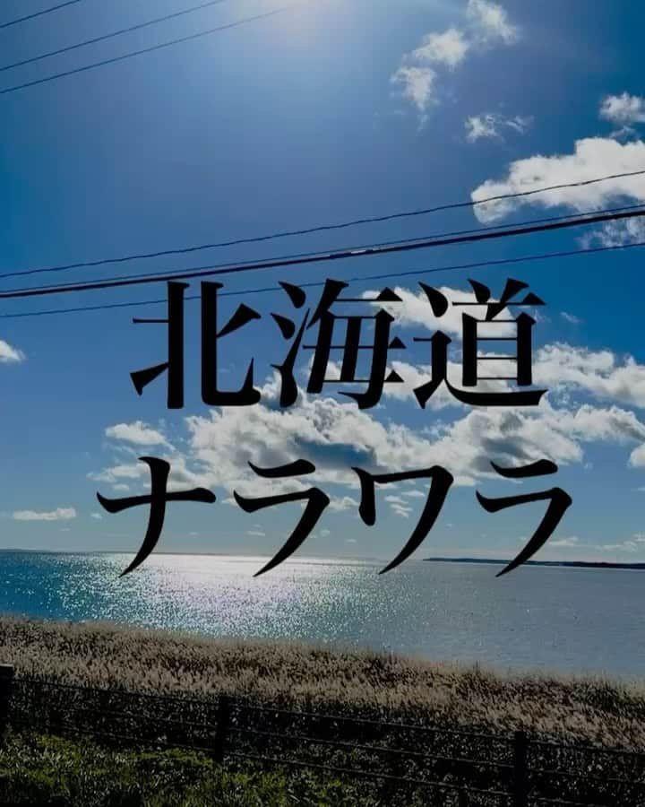 中丸雄一のインスタグラム：「北海道の空き時間でナラワラ行ってきた。壮大な自然だった。最後の写真は東京ね。」