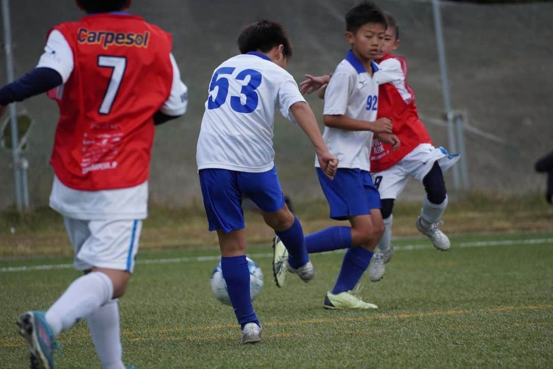 sfidaさんのインスタグラム写真 - (sfidaInstagram)「. ASAIHOME presents Challenge League Championship Powered by sfida  PHOTO GALLERY📸  #fcvinculo vs #富士見丘 #カルペソール湘南 vs #バディ江東  @challenge__league  #sfida #スフィーダ #サッカー #チャレンジリーグ #ChallengeLeague」10月21日 19時37分 - sfidasports