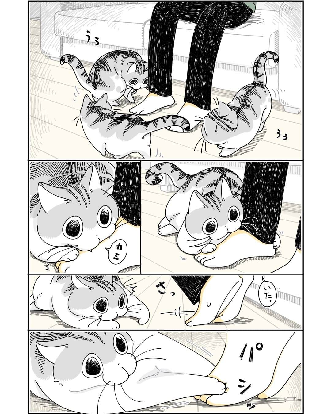 キュルZさんのインスタグラム写真 - (キュルZInstagram)「やんちゃモードなネコ  #キュルガ #夜は猫といっしょ #猫 #cat #猫漫画 #猫のいる暮らし」10月21日 19時59分 - kyuryuz