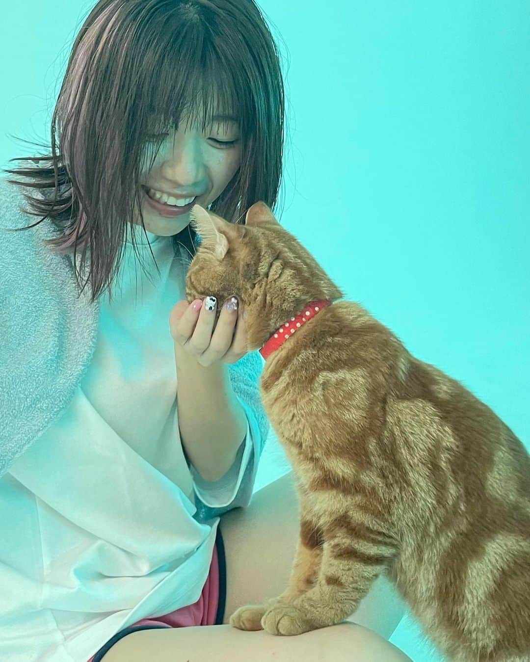 ぱいぱいでか美さんのインスタグラム写真 - (ぱいぱいでか美Instagram)「期待ばっかしてるだけの弱い虫なの . ゴホウビさんの新曲『ヤコウチュウ』 出演させて頂きました🐈 最初に書いたのはとくに好きなフレーズ😶‍🌫️ MV公開されてますのでYouTubeでご覧ください！  ゴホウビさんはポップでハッピーなイメージが強かったけど 切ない『ヤコウチュウ』も大好き🌙 素敵な作品に呼んでいただけてとても嬉しいです♡ なのでたくさん見て、聴いてほしい！  テテちゃんも一日ありがとう🐈 主にチャオチュールなどを駆使して仲良くしてもらいました。笑 . #ゴホウビ #ヤコウチュウ #MV #でか美ちゃん」10月21日 20時45分 - paipaidekami