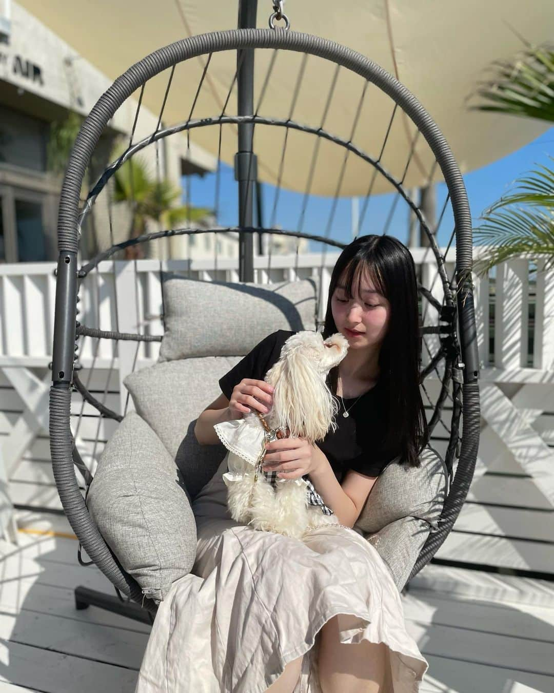 高木凜汐さんのインスタグラム写真 - (高木凜汐Instagram)「だいすきな愛犬もなかとままと一緒に海の見えるカフェに行ってきました！！！ わんこが入れるのはテラスだけだったんだけど、お外でも涼しくて過ごしやすい季節だったからちょうど良かった♡♡ この日は外がすごく晴れててお空もとってもきれいでした🫶🏻   お店では美味しいいかすみカレー食べたよっ！    #カフェ  #カフェ巡り  #カフェランチ  #海  #海がみえるカフェ  #いぬ  #いぬすたぐらむ  #いぬのいる暮らし  #いぬバカ部  #犬のいる暮らし  #まるぷー  #マルプー」10月21日 20時56分 - rio_0126_