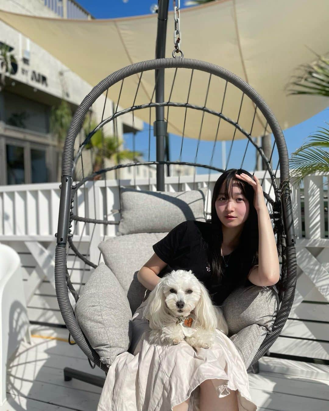 高木凜汐さんのインスタグラム写真 - (高木凜汐Instagram)「だいすきな愛犬もなかとままと一緒に海の見えるカフェに行ってきました！！！ わんこが入れるのはテラスだけだったんだけど、お外でも涼しくて過ごしやすい季節だったからちょうど良かった♡♡ この日は外がすごく晴れててお空もとってもきれいでした🫶🏻   お店では美味しいいかすみカレー食べたよっ！    #カフェ  #カフェ巡り  #カフェランチ  #海  #海がみえるカフェ  #いぬ  #いぬすたぐらむ  #いぬのいる暮らし  #いぬバカ部  #犬のいる暮らし  #まるぷー  #マルプー」10月21日 20時56分 - rio_0126_