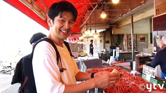 丸山智己のインスタグラム：「『遠くへ行きたい』 10月22日 6時30分〜（日本テレビ） 7時00分〜（読売テレビ）  今回は秋の新潟を旅してまいりました！ 第二の故郷、新潟県南魚沼で最高に美味しいお米をゲット！ 寺泊では旬のノドグロ、燕三条ではアウトドアグッズに魅了され。。 一番好きな季節に、最高に美味しいものを、一番美味しいアウトドアでいただきます。 最高だった。。 秋の新潟を満喫してまいりました。 ぜひ☆  10月22日あさ 6時30分〜（日本テレビ） 7時00分〜（関西テレビ） 札幌テレビ（日）5:45 ミヤギテレビ（日）6:30 福島中央テレビ（日）6:30 テレビ信州（日）6:30 北日本放送（木）10:25 中京テレビ（日）7:00 南海放送（金）10:25 日本海テレビジョン（土）5:30 広島テレビ（日）7:00 山口放送（日）13:00 福岡放送（日）6:30 長崎国際テレビ（日）17:00 鹿児島読売テレビ（日）16:00」