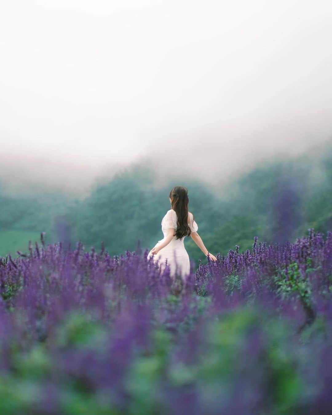 インヤさんのインスタグラム写真 - (インヤInstagram)「Feeling the wind and dancing in the floral farm 🪻✨ ใกล้หนาวแล้วมาเที่ยวเชียงใหม่อย่าลืมมาเที่ยวสวนดอกไม้กันนะคะ ปีนี้ดอกไม้เป็นโทนสีม่วงสวยมากๆเลยค่ะ 🤍 ปล. อยากได้หมอกเต็มๆแบบนี้ แนะนำไปช่วงเช้าๆเลยนะคะ 🥰  #ยิ่งยงสวนดอกไม้ #สวนดอกไม้ #สวนดอกไม้เชียงใหม่」10月21日 21時08分 - yingya_thanijachinya