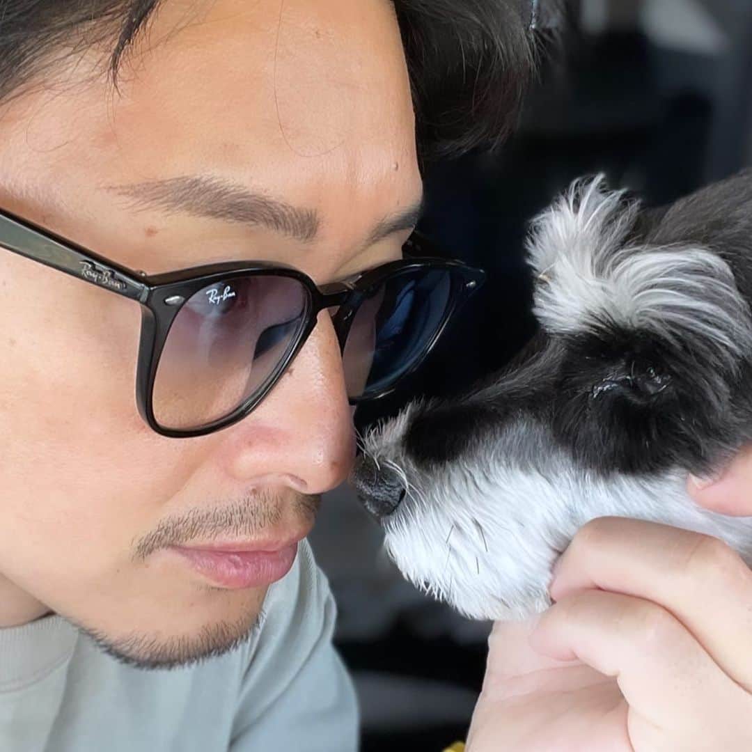 吉永啓之輔のインスタグラム：「お前、何見てんだよ🐶」