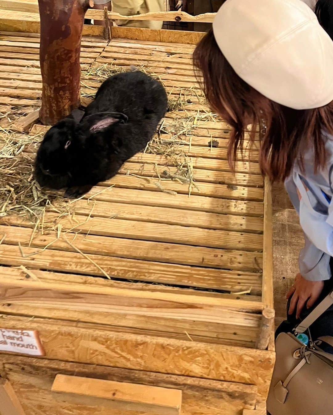 AIMIさんのインスタグラム写真 - (AIMIInstagram)「癒されたー🦝🦘🐫🦚🐒💓  #AIMI#休日#シャボテン動物公園」10月21日 21時24分 - my_name_is_aimi