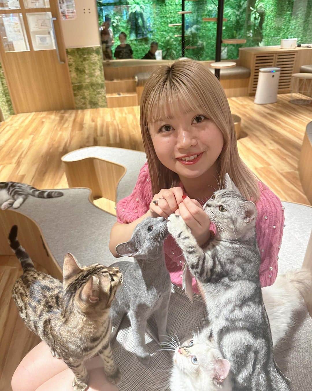 中川千尋のインスタグラム：「なんか人間性が刺さんない！  だって人間じゃないもーん！  #猫カフェ #猫 #猫写真 #猫スタグラム #足 めっちゃ引っ掻かれたワラ#東京観光 #東京カフェ」