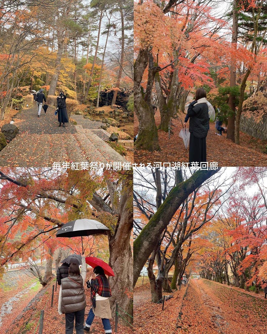 MEGさんのインスタグラム写真 - (MEGInstagram)「山梨旅行するなら〜【山梨おすすめホテル＆カフェまとめ 】 都内から2、3時間で行ける、週末旅。  2📌 蔵の宿　松屋 家族旅行で泊まった棟”伍の蔵・陸の蔵“ 少人数から最大20人まで泊まれる3タイプ全5棟あるお洒落な1棟貸しコテージ。 夜はバーベキューをして、露天風呂に入って。 激寒な中の露天風呂がさいこう🍃 半地下にベッドルームがあったり、キッチンがある吹き抜けリビングはすごく広々としている。朝は日差し抜群。 凄く静かで、落ち着く宿だった。 Check in 15:00-  check out -10:00 (💸1泊¥33,000-) 📍山梨県南都留郡富士河口湖町船津282 河口湖まで徒歩5分  3📌檸檬喫茶 （カフェ） ・クリームソーダやパスタ、サンドイッチなどがありお腹空いたらふらっと寄るのにおすすめ。 📍 山梨県富士吉田市下吉田2-2-27  4📌 SARUYA HOSTEL 築80年の木造建築を改装した日本スタイルのホステル。 ラウンジも、お部屋もどこ行っても木のいい香りがする。お洒落なインテリアで囲まれたラウンジで作業するのは居心地良さそう。 マットレスはふかふか、お部屋にあるヒーターをつけると抜け出せなくなるくらい暖かい。 静かにのんびり過ごすにはぴったりの場所。  check in 16:00 check out -10:00 (💸1泊¥8,500-) 📍山梨県富士吉田市下吉田3-6-26 🏃🏻‍♀️下吉田駅から徒歩5分  5📌Hana cafe Kikyou（カフェ） お花に囲まれたお洒落な店内で、ボリューミーな信玄餅ソフトを🍦 アイスも濃厚でほんと美味しい。 富士大石ハナテラス行ったら食べるべきソフト。 📍 山梨県南都留郡富士河口湖町大石１４７７−１  6📌富士河口湖紅葉回廊（観光） 河口湖畔のおよそ４００～５００本に及ぶ紅葉。 今年の紅葉祭り開催期間〜 2023.10.28〜11.23 午前9:00〜午後7時 ライトアップは午後10時まで) 📍山梨県南都留郡富士河口湖町河口 (近くに無料駐車場有り)  7📌 河口浅間神社（観光） 雲がなければ目の前は富士山。 階段を登れば絶景が見れる人気な観光スポット。  📍山梨県南都留郡富士河口湖町河口１  8📌 Villa saison fuji 2023年4月にNEW OPEN！ 河口湖からすぐの1日1組限定、完全プライベートのラグジュアリーヴィラ。 1100坪の敷地を完全貸切。 最大13人で泊まれる一棟貸しにはプライベートプール、ベッドルーム3つ、3百坪のドックラン、専用のバーベキューデッキ、焚き火のできるガーデンがある。 大人数旅におすすめ。 (💸1泊¥118,400-) 📍 山梨県南都留郡富士河口湖町勝山３８０ ____________________________________ 《新時代のSNS》 Lemon8 では“そこにしかないホテルの魅力”を発信しています🍋  次の旅行先はどこへ行こう、 “まだあまり知られていないホテル” を【 meg_hotel 】の投稿で探してみて下さい🏷️ ____________________________________  #山梨ホテル #ホカンス #山梨旅行  #一棟貸し #貸別荘 #ヴィラ #ホテル #ホテルステイ  #国内ホテル #カップル旅行 #ホテル女子会 #hotel_megvlog  #lemon8  #lemon8japan #ｌｅｍｏｎ８でお出かけ」10月21日 21時27分 - _meg_7