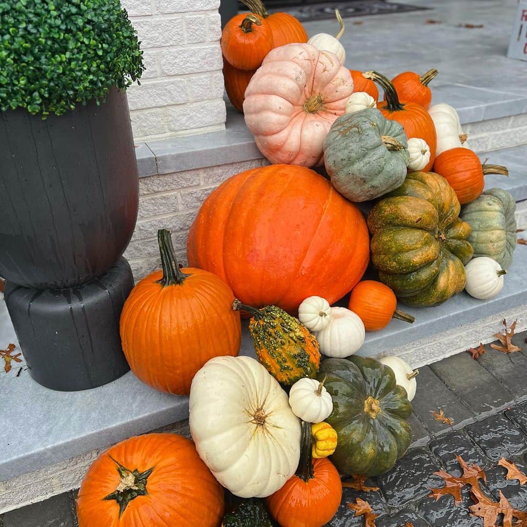 メリッサ・ゴーガさんのインスタグラム写真 - (メリッサ・ゴーガInstagram)「Rainy days with pumpkins On Display. I love fall!🍁 Thanks to @atuftedlife making it perfect! Now how long you think before I start decorating for christmas?!! #fall #rhonj」10月21日 21時37分 - melissagorga