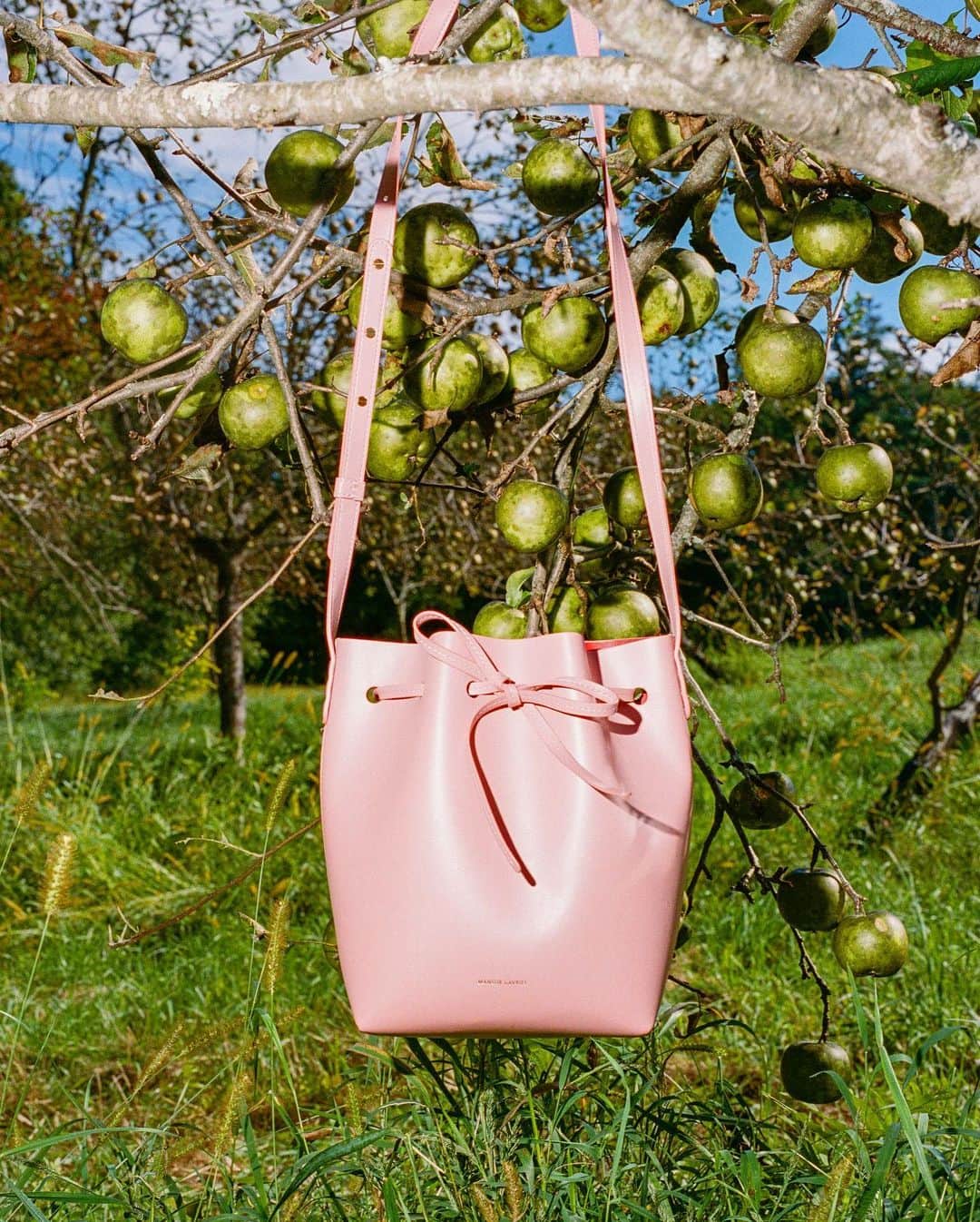 マンサー ガブリエルのインスタグラム：「MG Apple Mini Bucket Bag 🍏 Photographed by @pomme_william for MG #mansurgavriel」