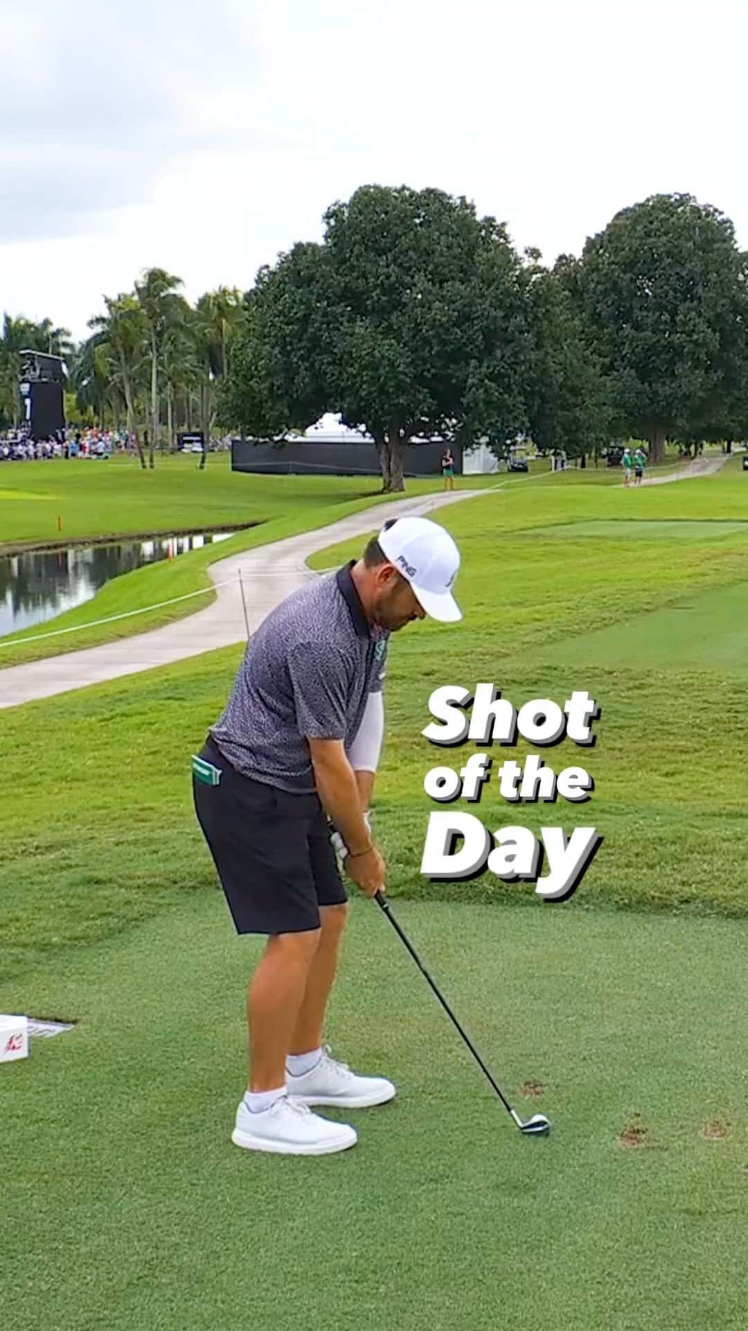 ルイ・ウーストハウゼンのインスタグラム：「Shot of the Day from Louis Oosthuizen winning his Quarter Finals match! 🔥   #LIVGolf #StingerGC」