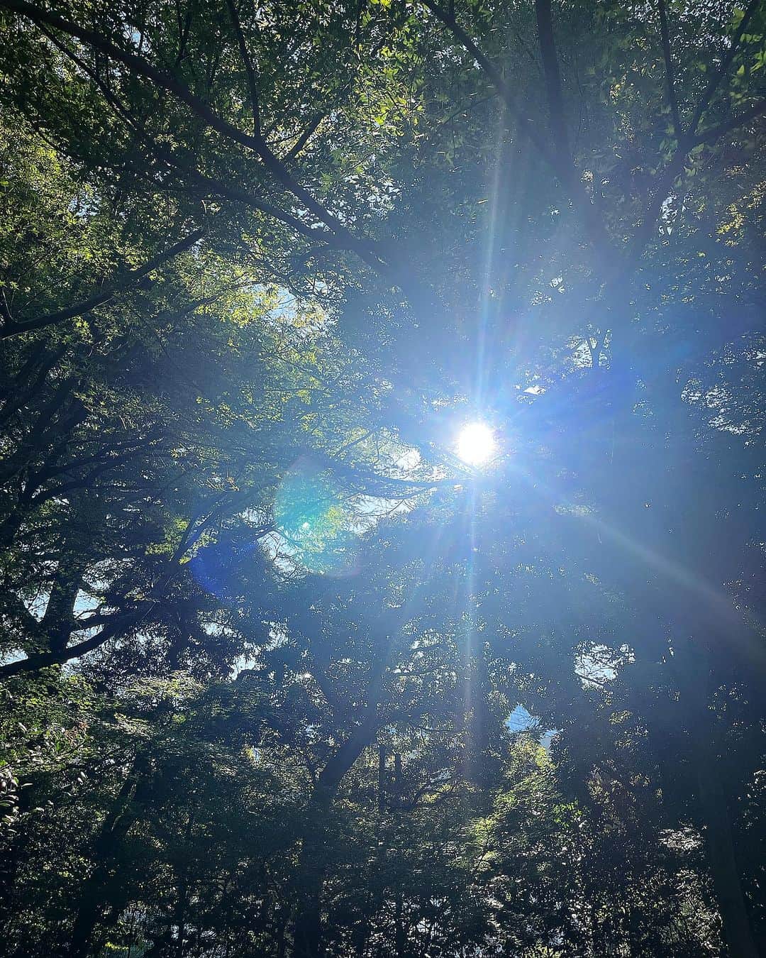 新津由衣さんのインスタグラム写真 - (新津由衣Instagram)「さち @sachitainaka と太陽の下森の小道をお散歩へ🌳  ひかりの中でも静かな暗がりの中でも 同じことばでお話ができるたいせつなともだち✨🤍  奇跡のような偶然のバッタリ再会があったのだけど、一瞬で同じ空間にフィットできる、この感覚はとても愛おしいものです💎✨  たくさんのひかりを交換したね  大人になって やわらかくやさしく、なりましたね  そろそろ、 あれも奏でましょうか？  わたしたち ☺︎☺︎  #タイナカ彩智 #新津由衣 #ぐりとぐら #2枚目はなぜか飲み物フューチャー」10月21日 21時49分 - neatsyui