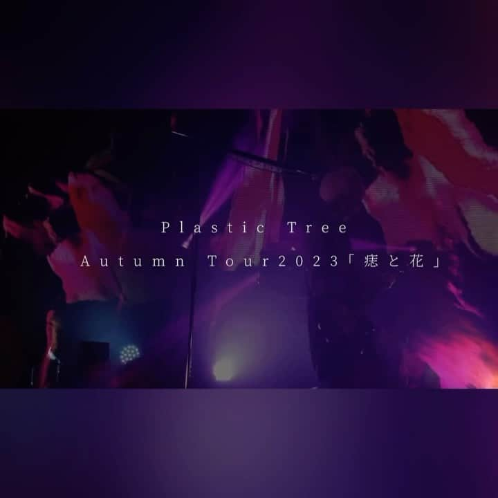 佐藤ケンケンのインスタグラム：「Plastic Tree Autumn Tour2023「痣と花」 ツアー最終日大阪公演  10月22日(日) 開場 16:00 / 開演 17:00 GORILLA HALL OSAKA (大阪)  http://plastic-tree.com/various/live/?p=1243  お待ちしてます。 ・ ・ ・ ・ ・ ・ #sonordrums #vaterdrumsticks #小出シンバル #EvansDrumHeads #JerryHarveyAudio #ZoomCreator #ライブ #concert #ドラム #バンド #drums #佐藤ケンケン #痣と花 #PlasticTree」